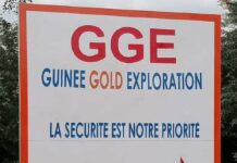 Opération surprise à Siguiri : plusieurs employés de la société GGE mis aux arrêts par des Bérets rouges