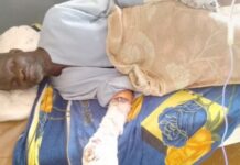 Drame à Tougué : L’homme agressé par un léopard succombe à ses blessures