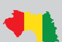 RGPH-4 : la Guinée compte 17 521 167 habitants dont 51,8 % des femmes..