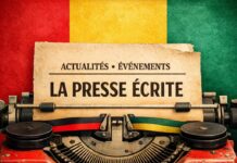 Affaire AGEPI : quand le clan Diakité confond irrecevabilité et confirmation (Communiqué)