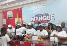 GUINEE: Kindia se prépare à celebrer la 4e édition du festival de mangue