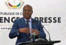 Démission du gouvernement guinéen : Ousmane Gaoual Diallo clarifie la position du gouvernement