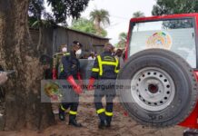 Crime odieux à Kindia : Un corps retrouvé pendu à un manguier à Komoya