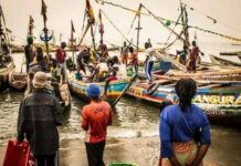 Fin du repos biologique : C’est reparti pour la Pêche